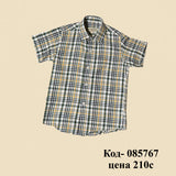 Boys Casual Cupcake Print Shirt